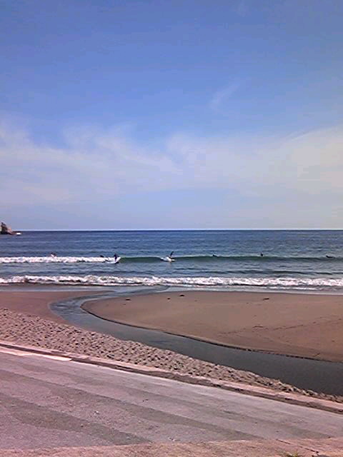 SH3508920001.jpg