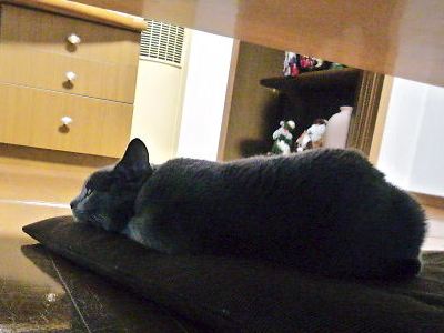 2014年11月03日_P1200896.jpg