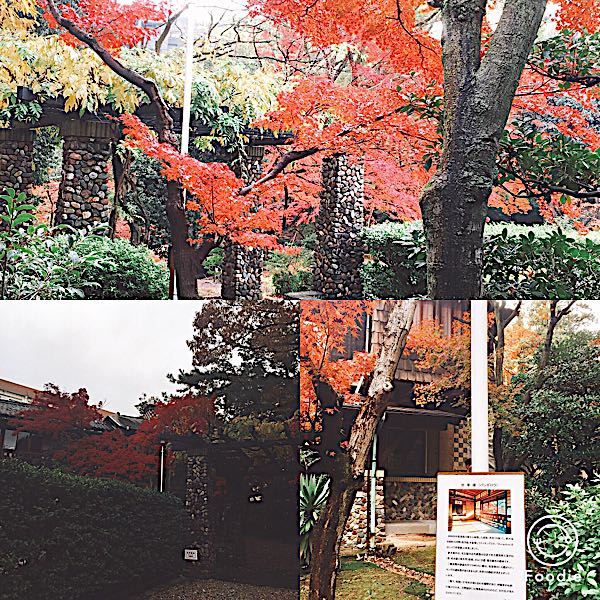 rblog-20171207143448-03.jpg