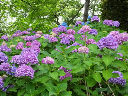 多摩川台公園にて