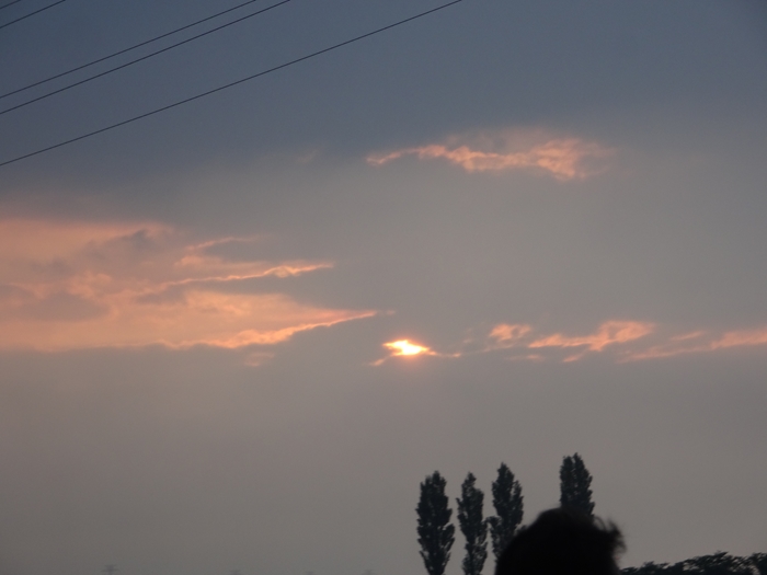 DSC07315_R.JPG