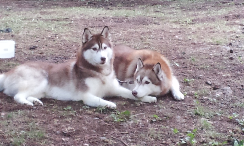 20120819_063533.jpg