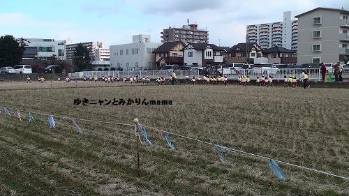 20120227104905(5).jpg