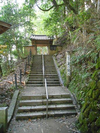 DSCN4599.jpg