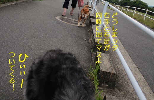背後