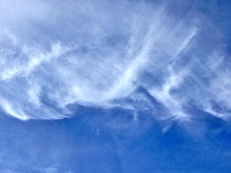 空4
