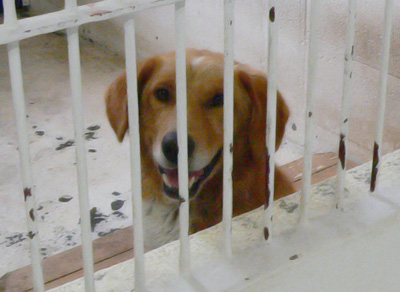 20140708p.jpg