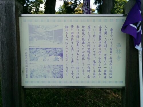 rblog-20170706115235-01.jpg