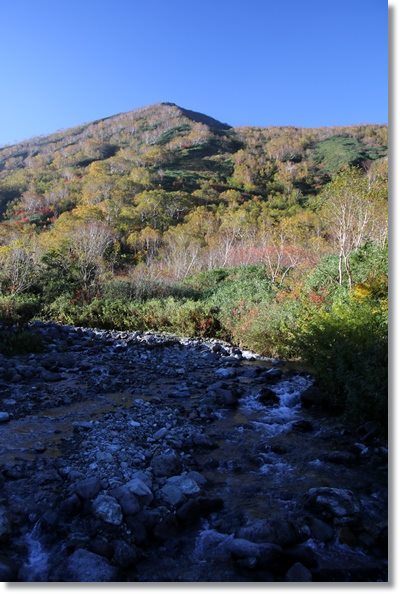 栂池自然園-43 楠川-1 15.10.2