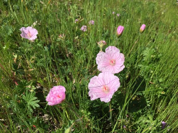 rblog-20180505160632-07.jpg