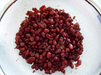 DSCF2046 (4) (400x300).jpg