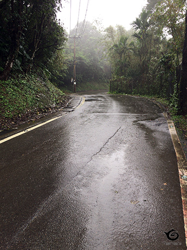 ちょー田舎道です