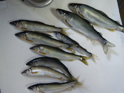 DSCF1666.JPG