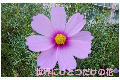 rblog-20161015142259-00.jpg