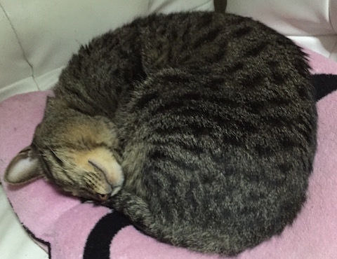 2016-01-19 18.24.39.jpg