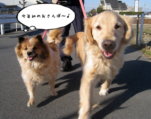 お散歩.JPG