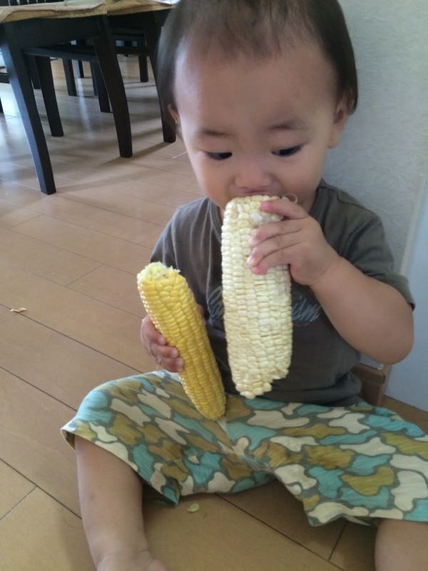 rblog-20150721013949-02.jpg