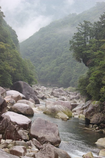 梅雨の銚子川