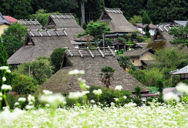 美山２