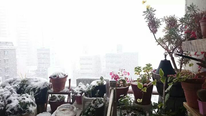 rblog-20141218132017-01.jpg