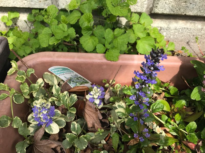 rblog-20190421190226-07.jpg