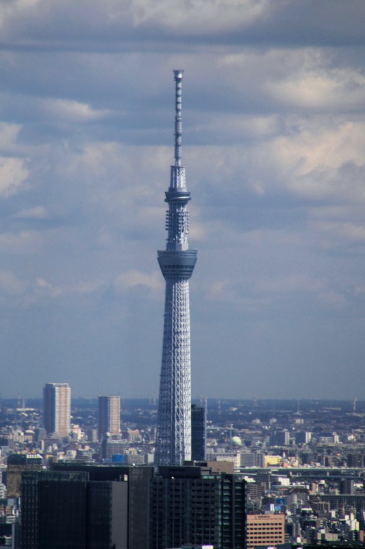 東京都庁舎_004.jpg