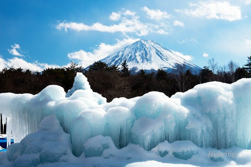 西湖樹氷まつり ブログ左富士写真館 楽天ブログ