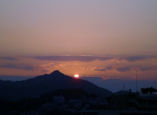 020 (500x366).jpg