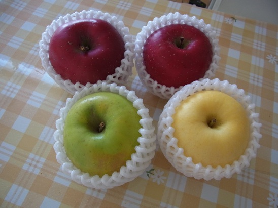 RIMG0003.JPG