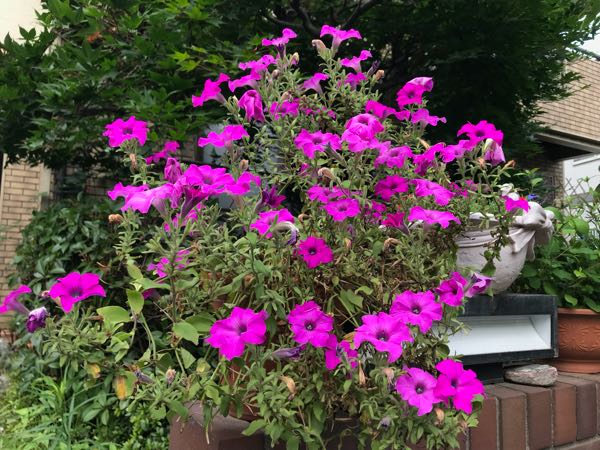 rblog-20180628171900-01.jpg