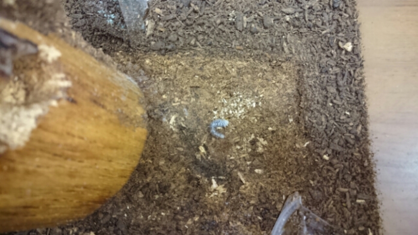 20160324_174826.jpg