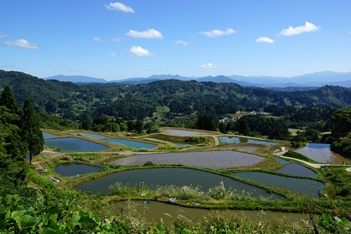 棚田