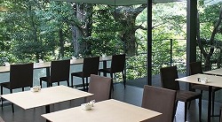カフェ.jpg