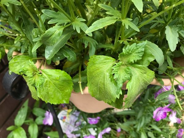 rblog-20180430175651-05.jpg