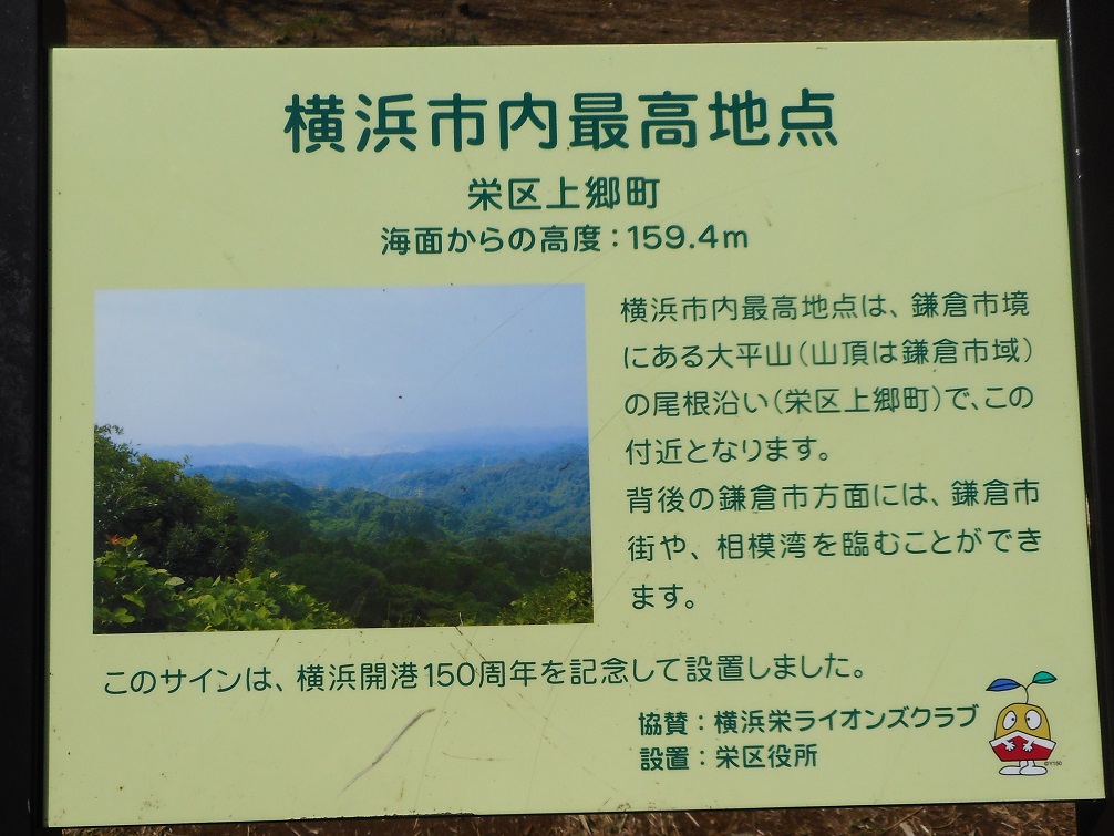 六国峠鎌倉天園 (2).JPG