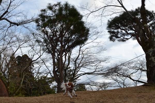 DSC_3735.jpg
