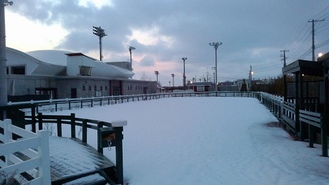 門別競馬場パドック.jpg