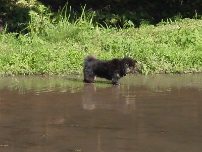 CIMG0687.JPG