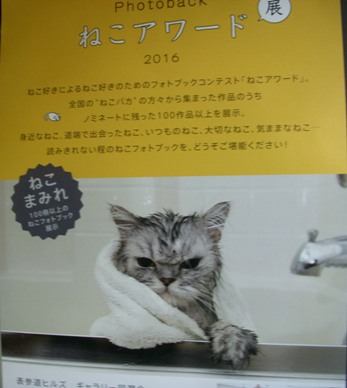 nekoawa