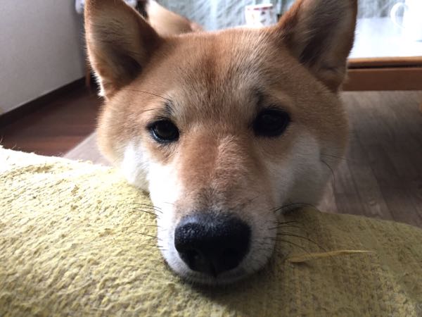 rblog-20160507162538-02.jpg