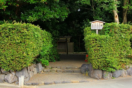 IMG_9872.jpg