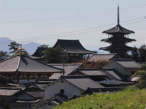 IMG_5546法隆寺.JPG