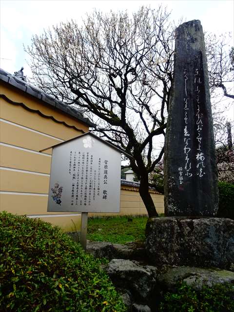 DSC03239_R.JPG