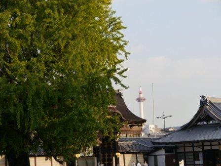 P10600780-1.jpg