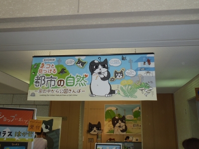 大阪市立自然史博物館2014年8月上旬5　第45回特別展ネコと見つける都市の自然