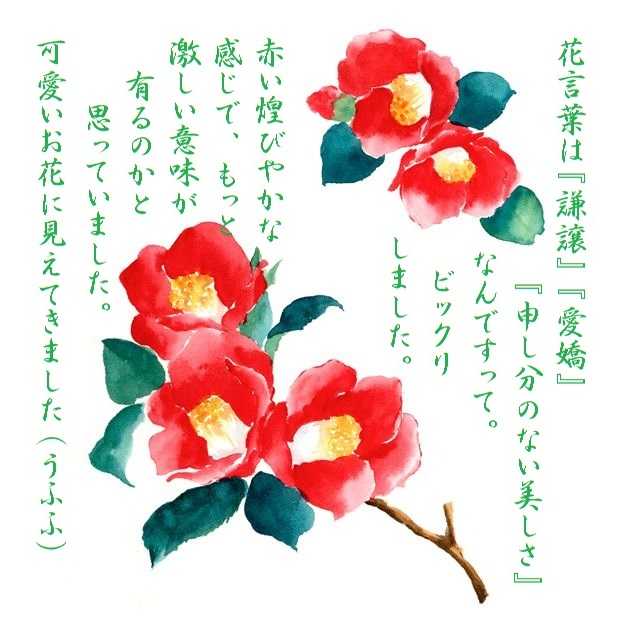 椿と山茶花の違い にっこり ほっこり ぽっこり 楽天ブログ