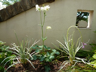 P1190782ss.jpg