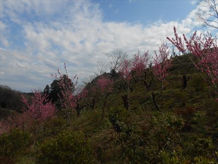 里山公園