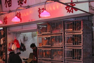 hkwanchai06.jpg