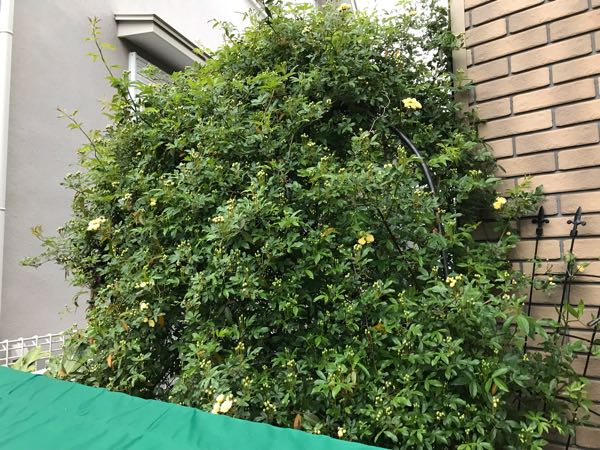 rblog-20190419194830-01.jpg